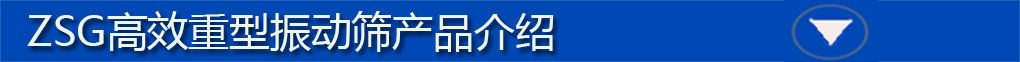 ZSG高效重型振动筛标题栏